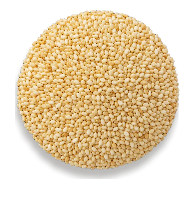 Sesame Seeds