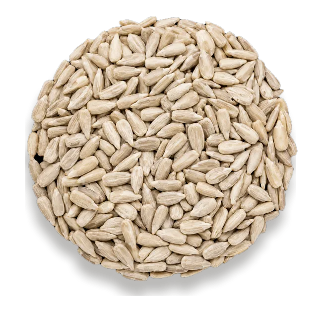 Sunflower Seeds